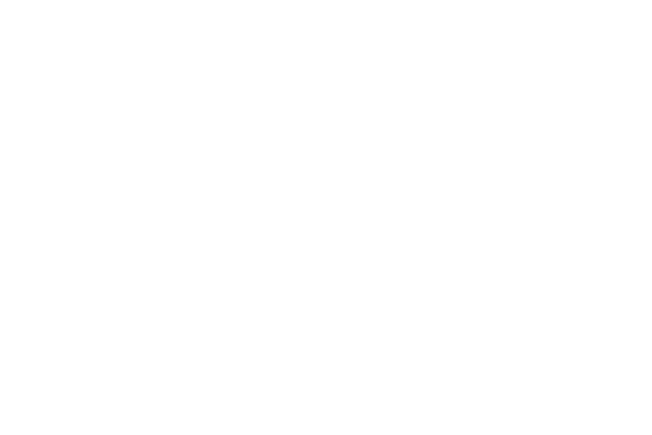Cargo Bike