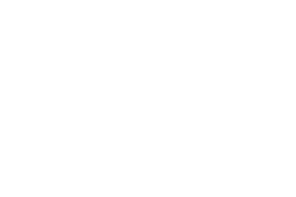 Cargo Bike